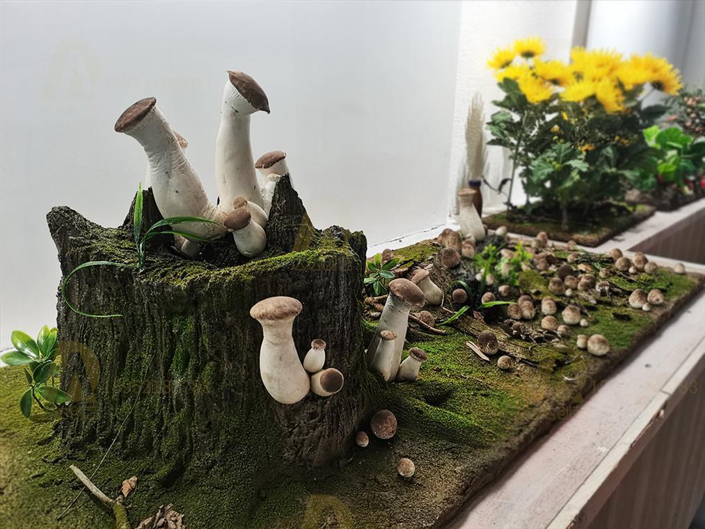 淮安农科院农产品微缩景观制作