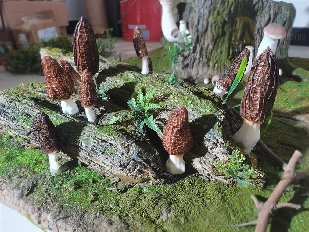 淮安农科院农产品微缩景观制作